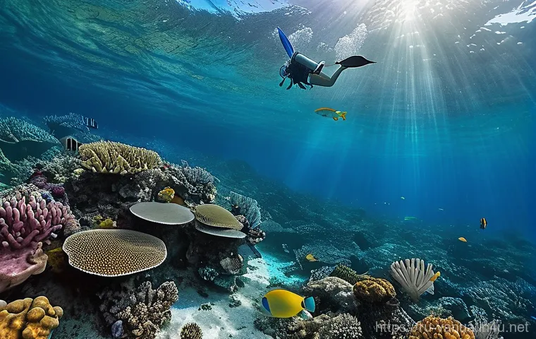 바누아투의 리조트 비교 - **Prompt:** A serene and luxurious scene at a secluded beach resort in Vanuatu, reminiscent of Erata...